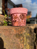 Mini Clay Pot